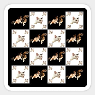 cat pattern on black and white square Sticker